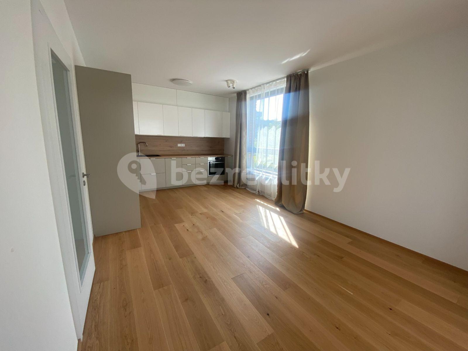 1 bedroom with open-plan kitchen flat to rent, 57 m², Vladimíra Kobranova, Prague, Prague