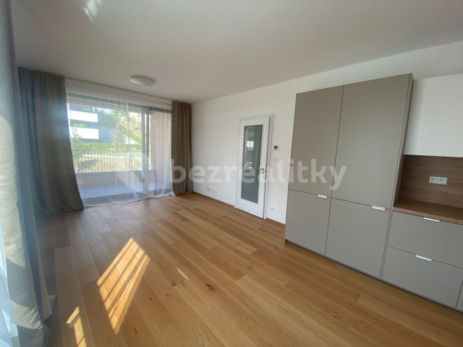 1 bedroom with open-plan kitchen flat to rent, 57 m², Vladimíra Kobranova, Prague, Prague