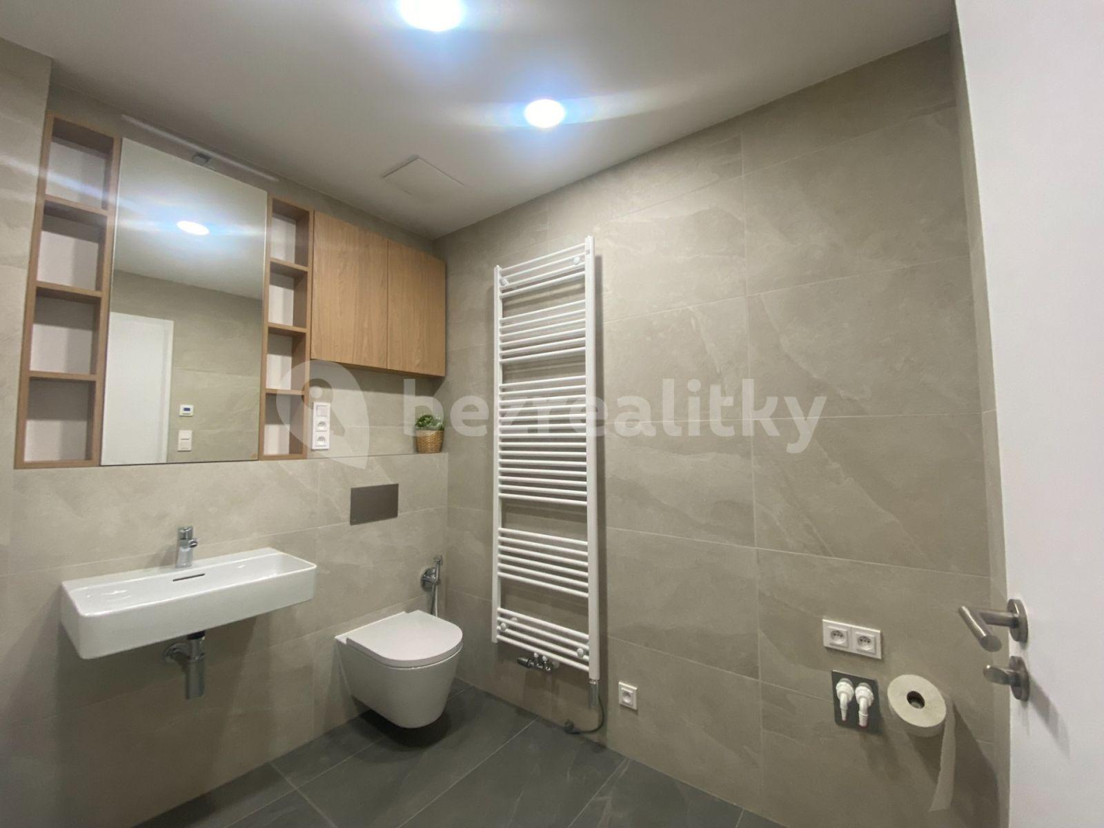 1 bedroom with open-plan kitchen flat to rent, 57 m², Vladimíra Kobranova, Prague, Prague