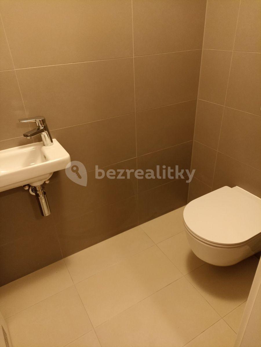 1 bedroom with open-plan kitchen flat to rent, 70 m², Oktábcových, Prague, Prague