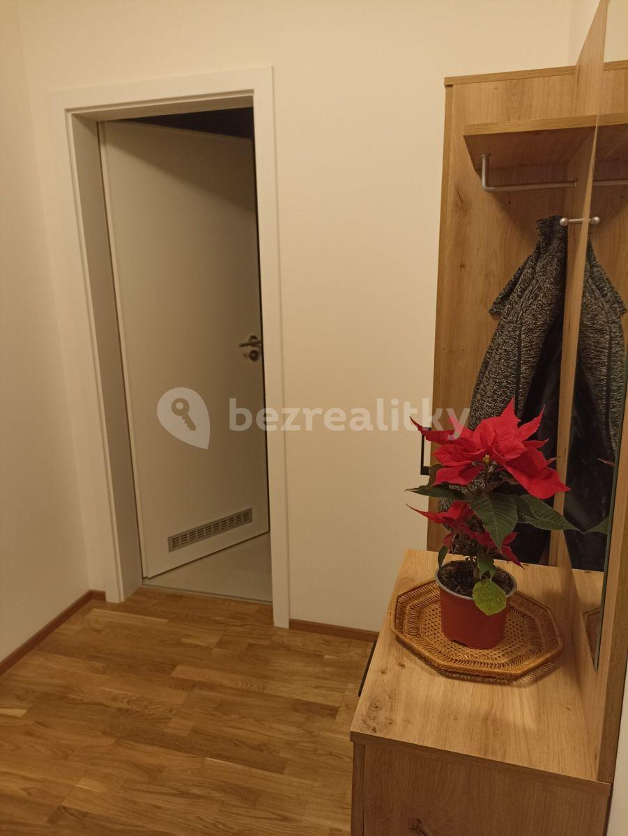 1 bedroom with open-plan kitchen flat to rent, 70 m², Oktábcových, Prague, Prague