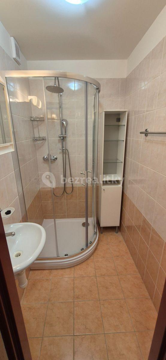 1 bedroom with open-plan kitchen flat to rent, 42 m², Hněvkovského, Prague, Prague