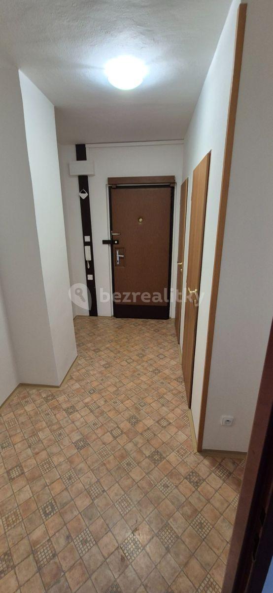 1 bedroom with open-plan kitchen flat to rent, 42 m², Hněvkovského, Prague, Prague