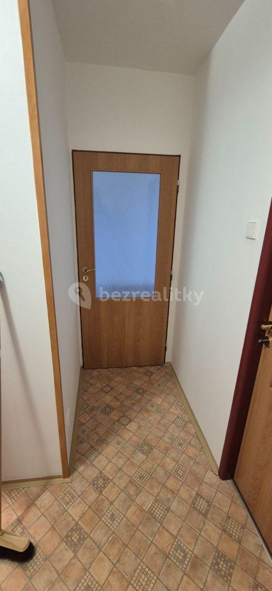 1 bedroom with open-plan kitchen flat to rent, 42 m², Hněvkovského, Prague, Prague