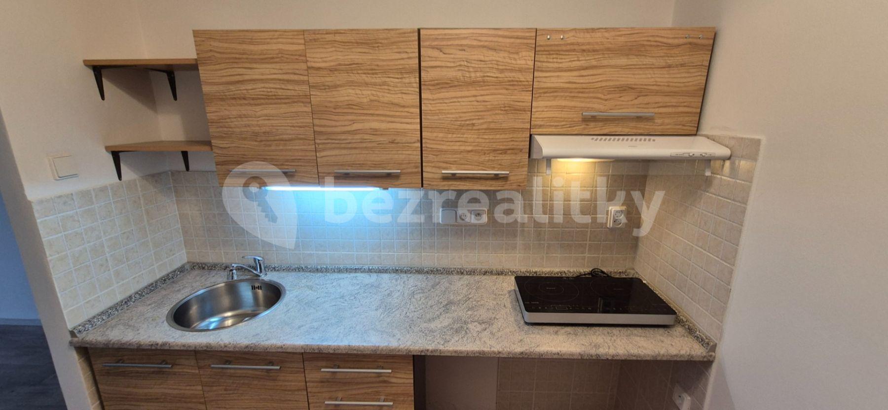 1 bedroom with open-plan kitchen flat to rent, 42 m², Hněvkovského, Prague, Prague