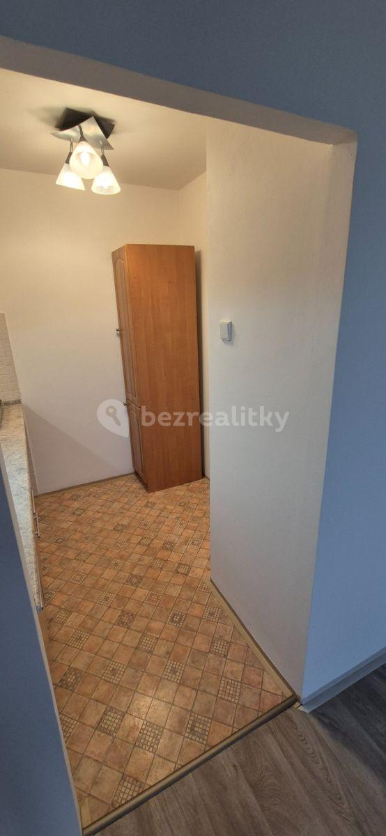 1 bedroom with open-plan kitchen flat to rent, 42 m², Hněvkovského, Prague, Prague