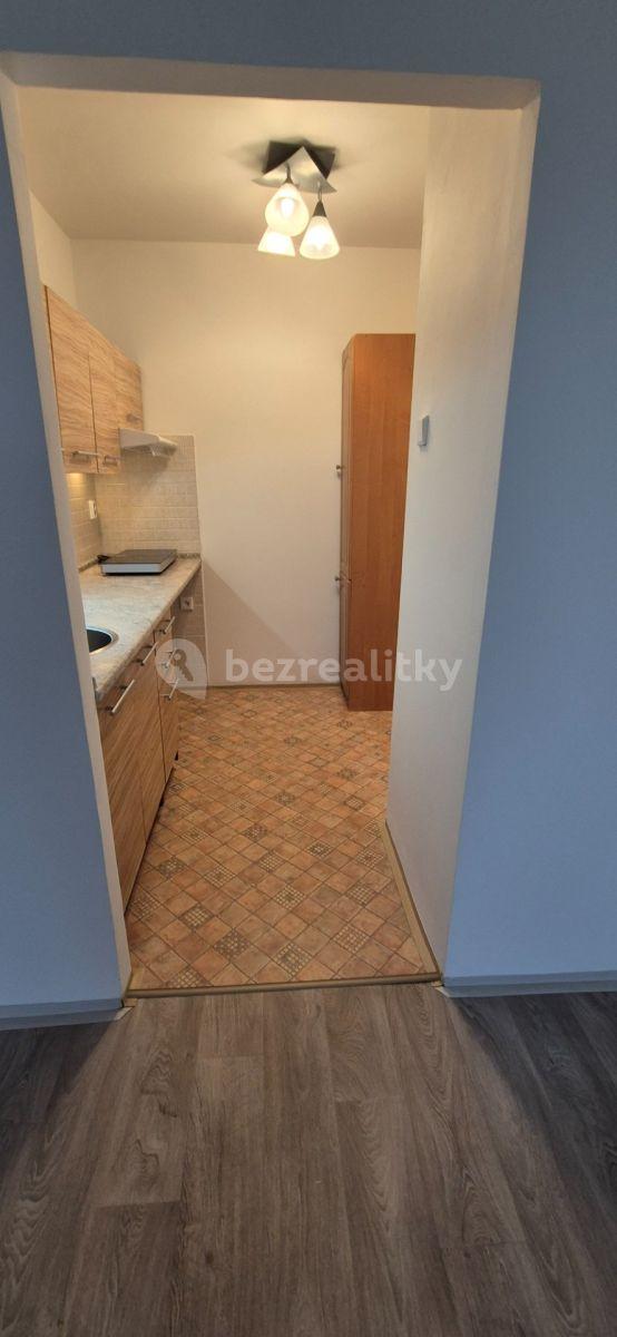 1 bedroom with open-plan kitchen flat to rent, 42 m², Hněvkovského, Prague, Prague