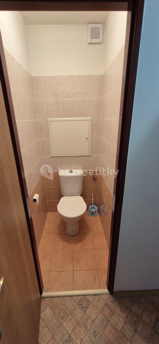 1 bedroom with open-plan kitchen flat to rent, 42 m², Hněvkovského, Prague, Prague