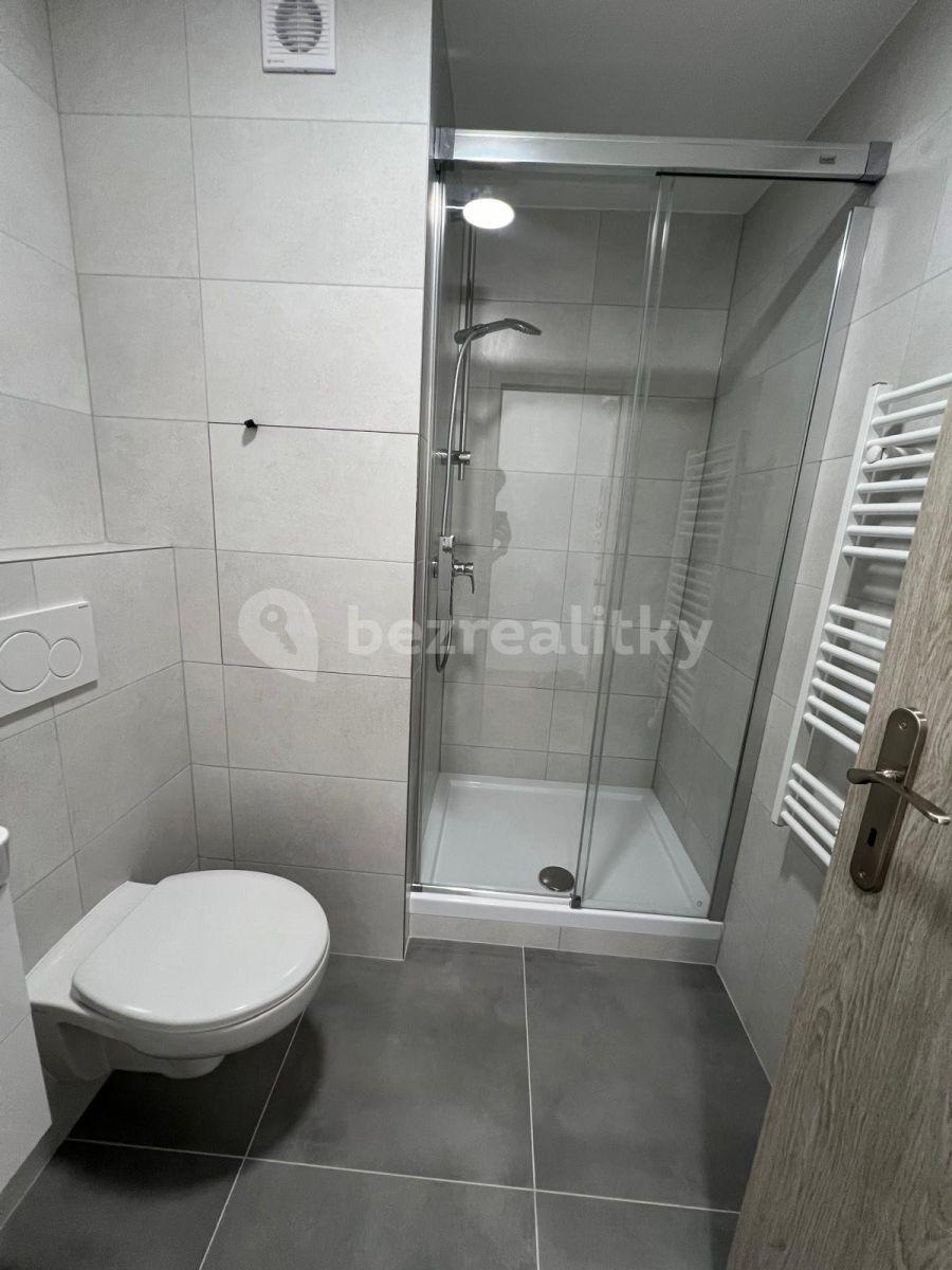 1 bedroom flat to rent, 36 m², 17. listopadu, Chomutov, Ústecký Region