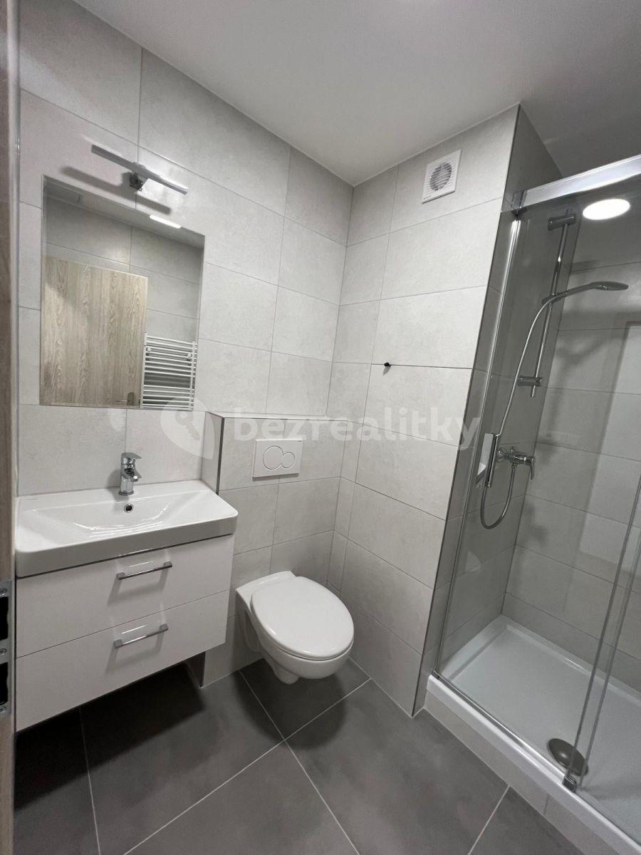 1 bedroom flat to rent, 36 m², 17. listopadu, Chomutov, Ústecký Region