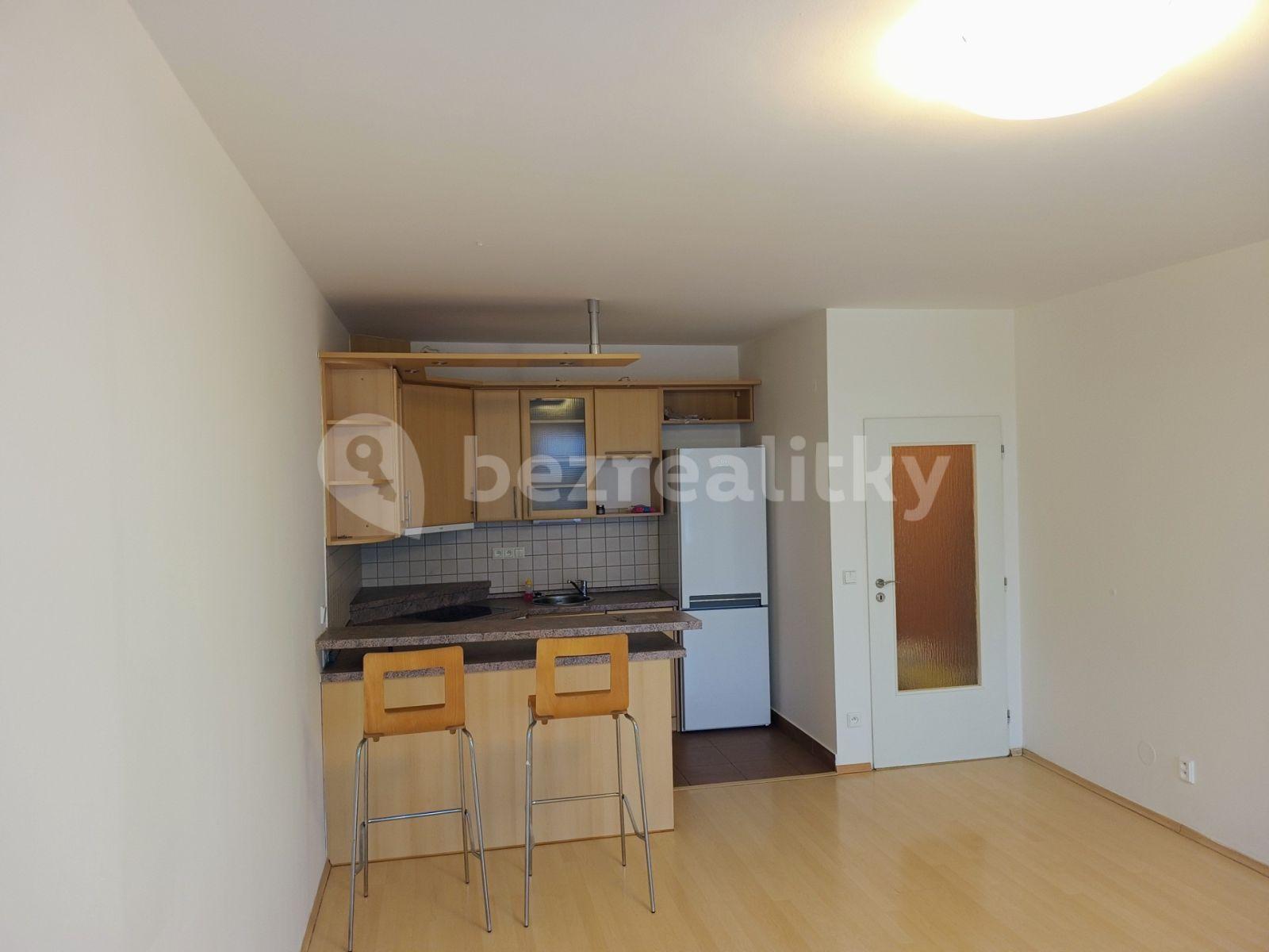 1 bedroom with open-plan kitchen flat to rent, 54 m², Pod Bohdalcem I, Prague, Prague