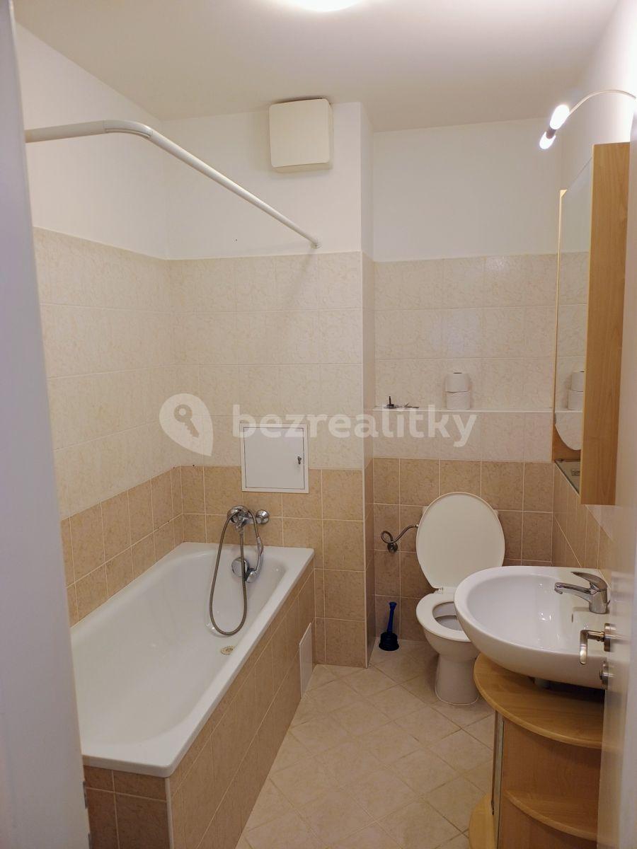 1 bedroom with open-plan kitchen flat to rent, 54 m², Pod Bohdalcem I, Prague, Prague