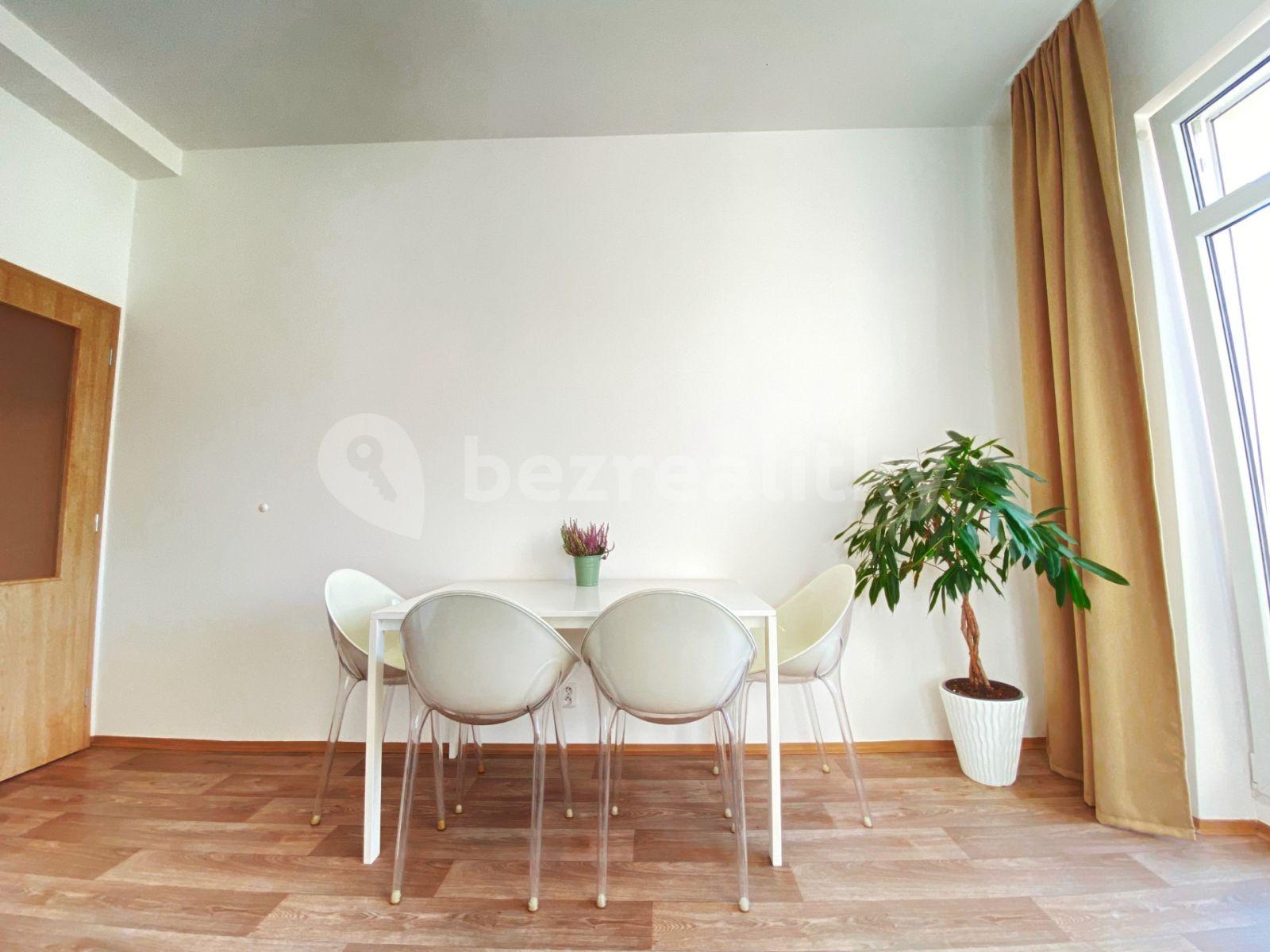 1 bedroom with open-plan kitchen flat to rent, 50 m², Prachnerova, Prague, Prague