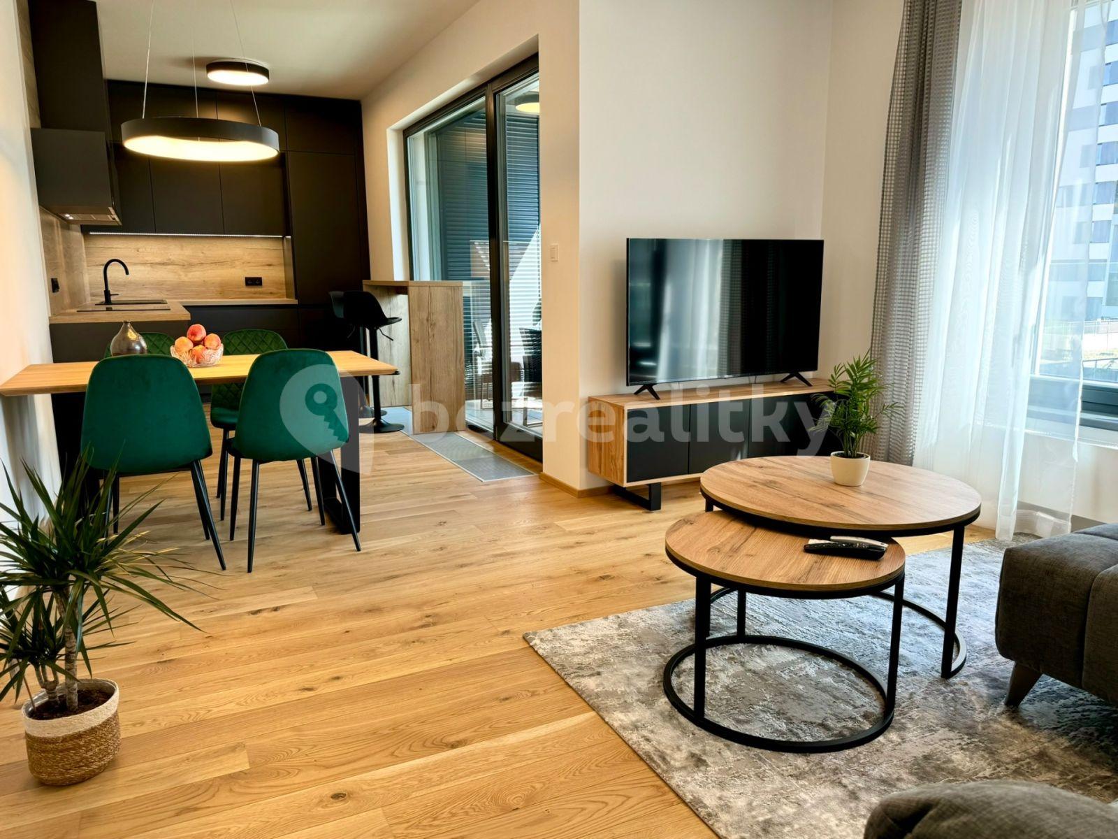 1 bedroom with open-plan kitchen flat to rent, 65 m², Sokolova, Prague, Prague