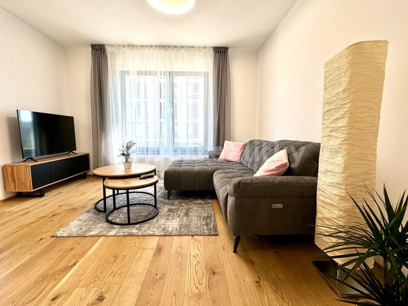 1 bedroom with open-plan kitchen flat to rent, 65 m², Sokolova, Prague, Prague