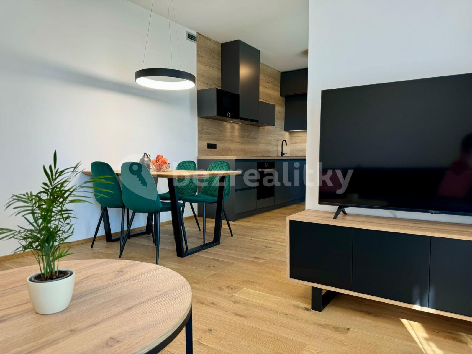 1 bedroom with open-plan kitchen flat to rent, 65 m², Sokolova, Prague, Prague