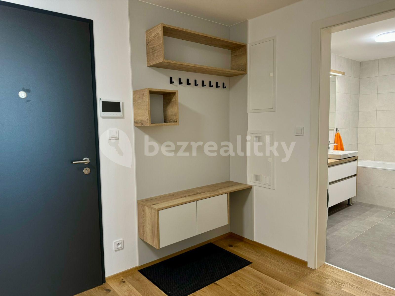 1 bedroom with open-plan kitchen flat to rent, 65 m², Sokolova, Prague, Prague