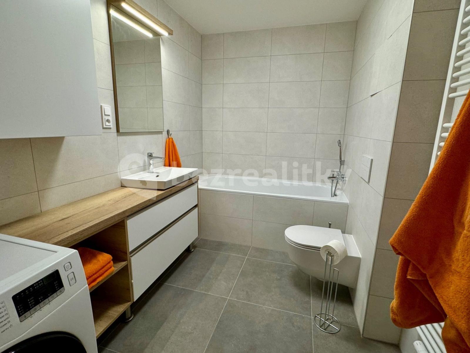 1 bedroom with open-plan kitchen flat to rent, 65 m², Sokolova, Prague, Prague