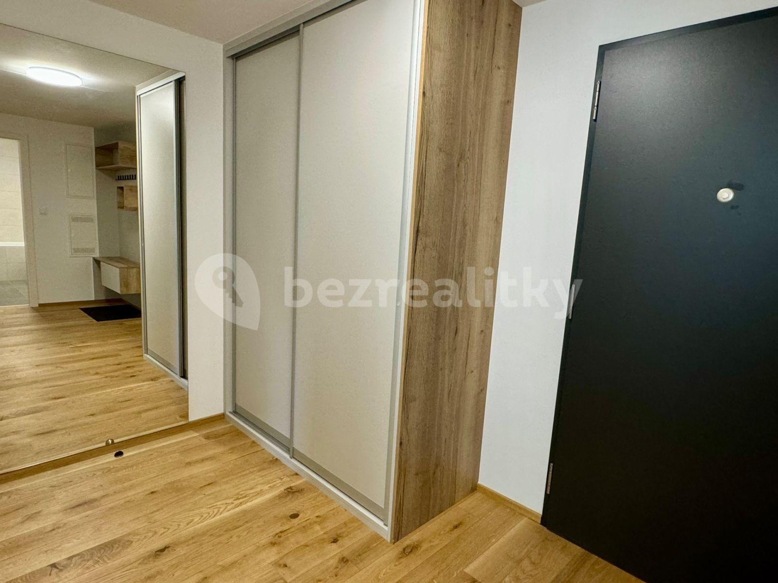 1 bedroom with open-plan kitchen flat to rent, 65 m², Sokolova, Prague, Prague