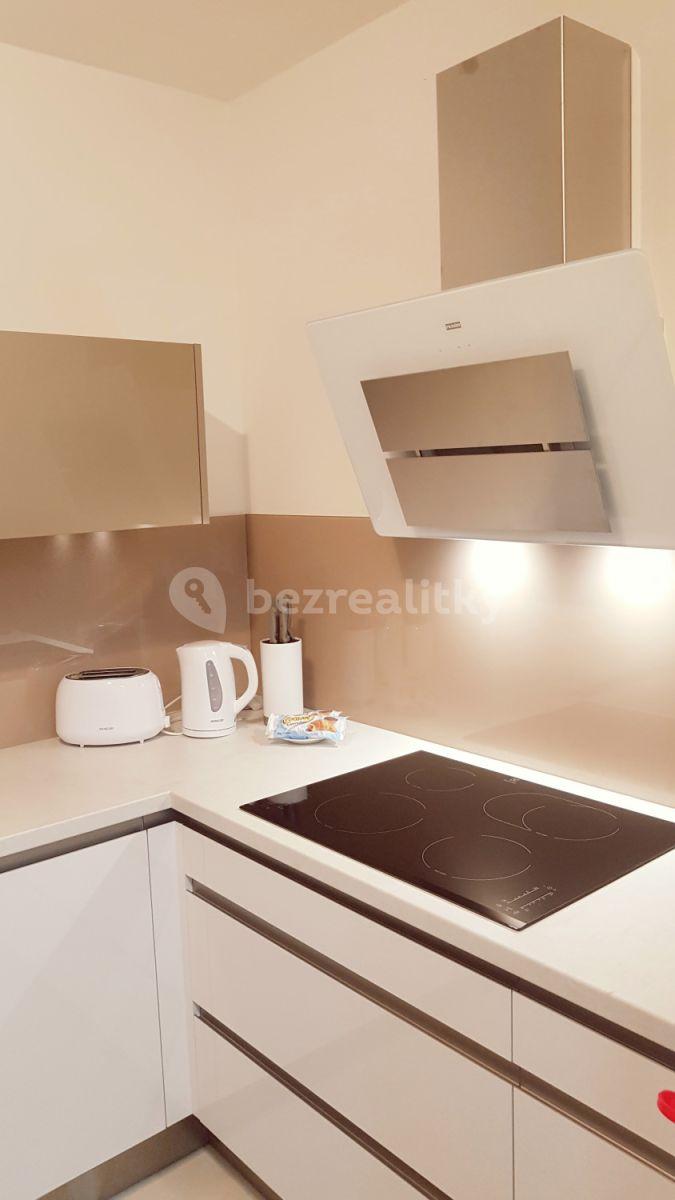 1 bedroom with open-plan kitchen flat to rent, 85 m², Olšanská d, Prague, Prague