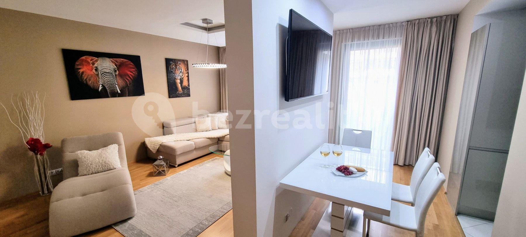 1 bedroom with open-plan kitchen flat to rent, 85 m², Olšanská d, Prague, Prague