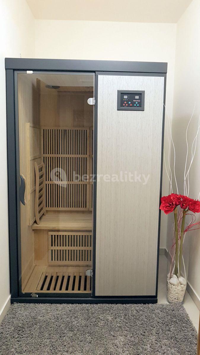 1 bedroom with open-plan kitchen flat to rent, 85 m², Olšanská d, Prague, Prague