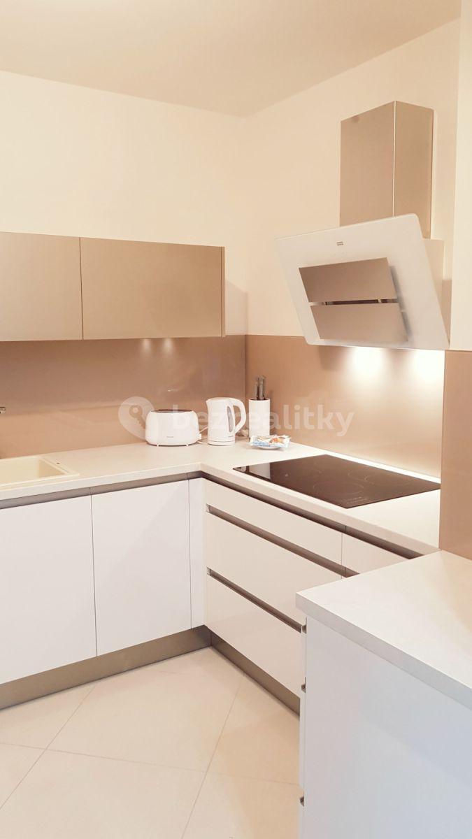 1 bedroom with open-plan kitchen flat to rent, 85 m², Olšanská d, Prague, Prague