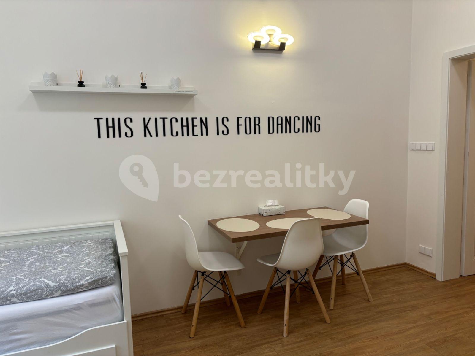 1 bedroom with open-plan kitchen flat to rent, 52 m², U Milosrdných, Prague, Prague