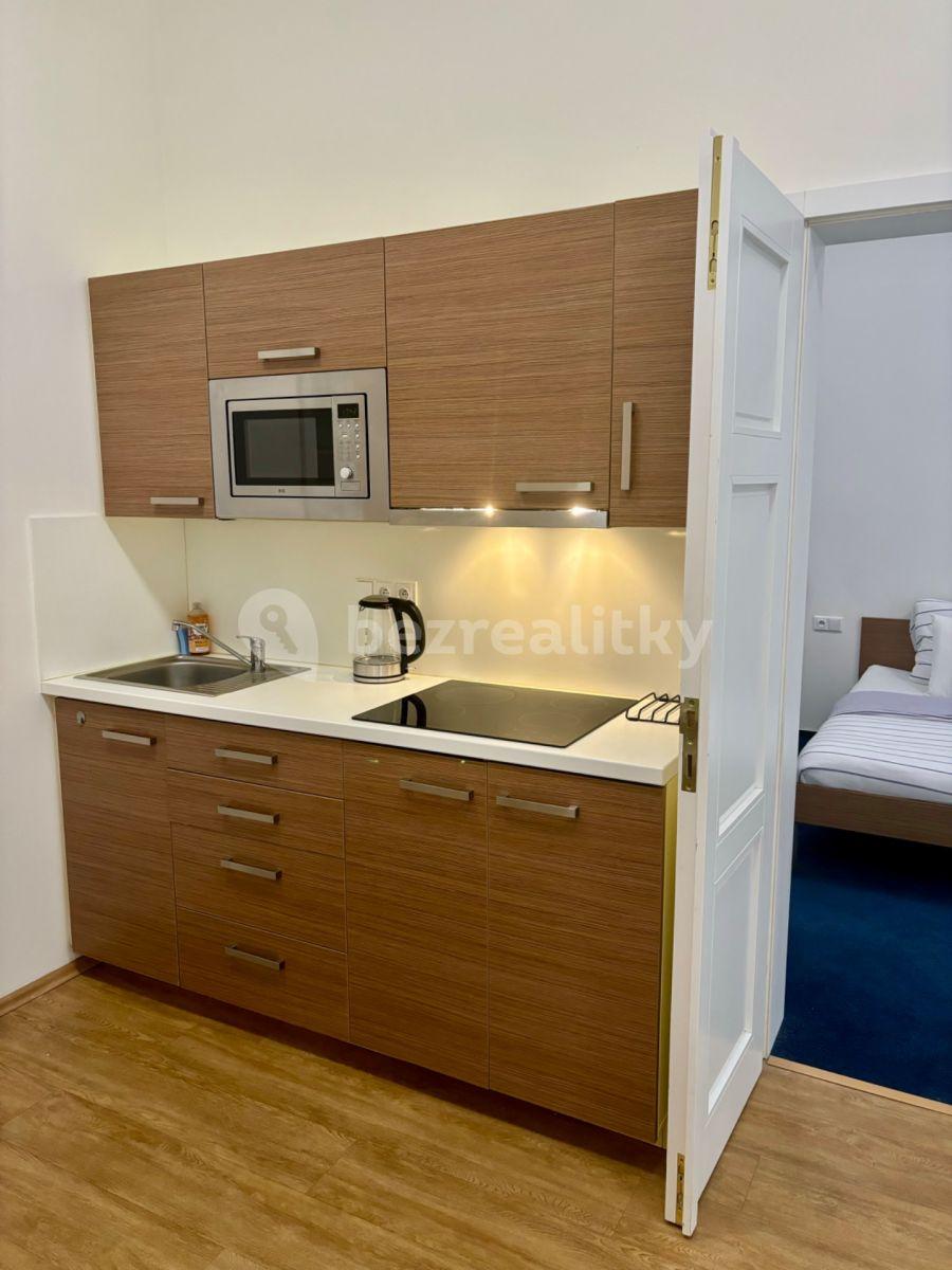 1 bedroom with open-plan kitchen flat to rent, 52 m², U Milosrdných, Prague, Prague