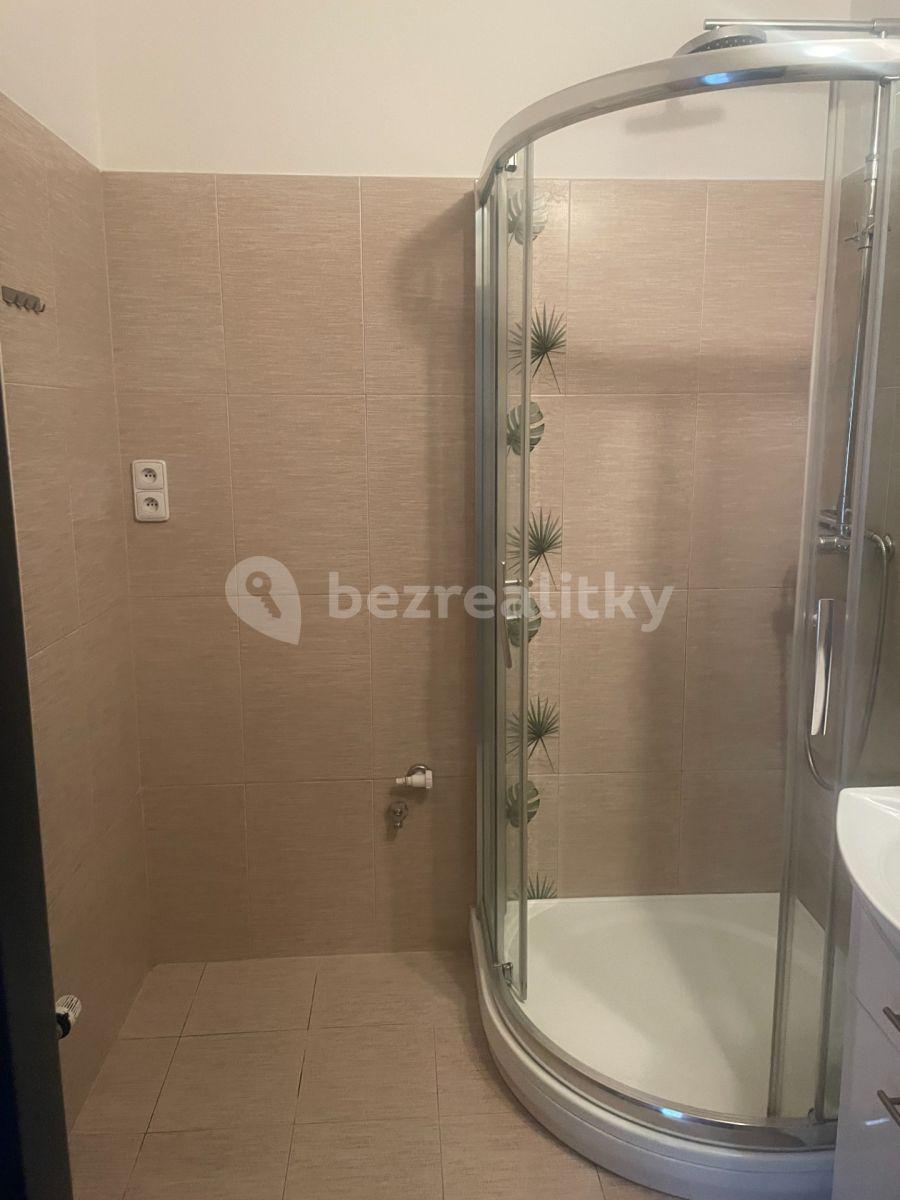 2 bedroom flat to rent, 52 m², Krčská, Prague, Prague