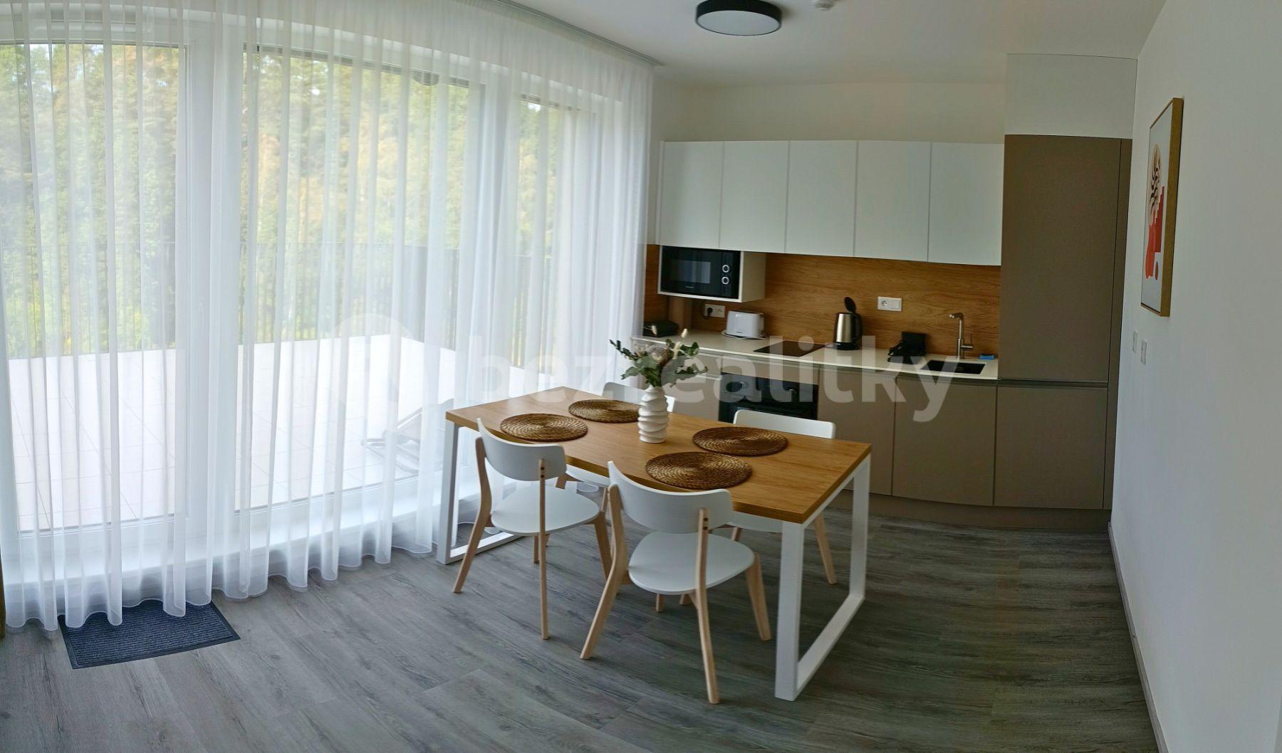 Studio flat to rent, 32 m², Za Jitonou, Český Krumlov, Jihočeský Region