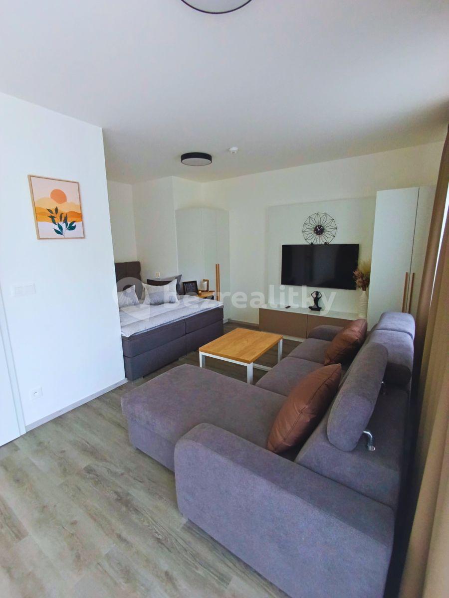 Studio flat to rent, 32 m², Za Jitonou, Český Krumlov, Jihočeský Region