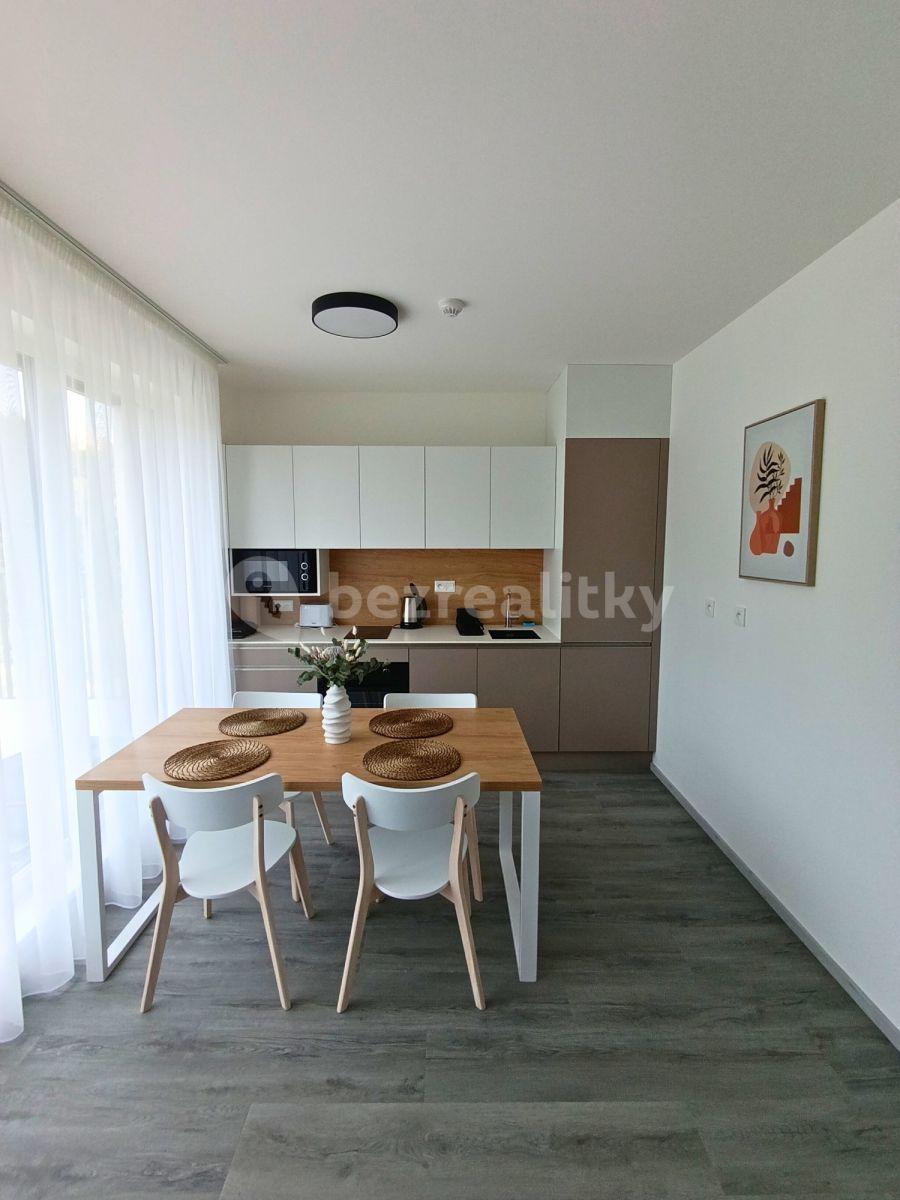 Studio flat to rent, 32 m², Za Jitonou, Český Krumlov, Jihočeský Region