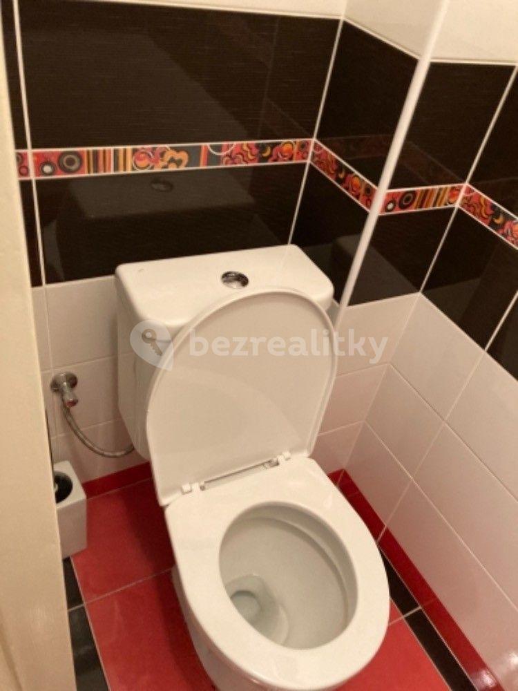 1 bedroom with open-plan kitchen flat to rent, 50 m², Za Vokovickou vozovnou, Prague, Prague