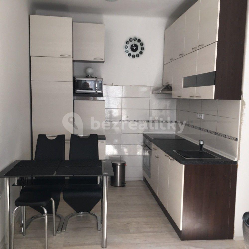 1 bedroom with open-plan kitchen flat to rent, 50 m², Za Vokovickou vozovnou, Prague, Prague