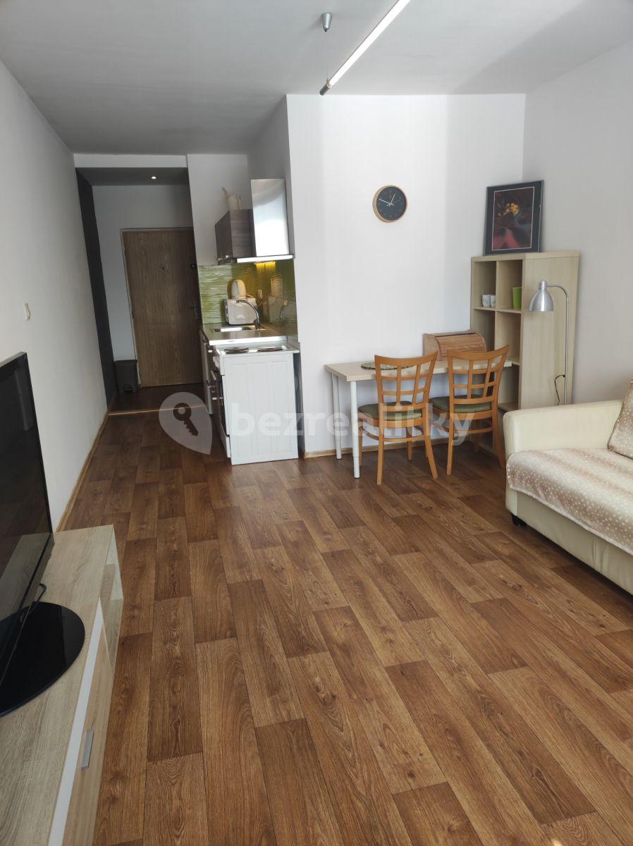 Studio flat to rent, 29 m², Na Loučkách, Kuřim, Jihomoravský Region