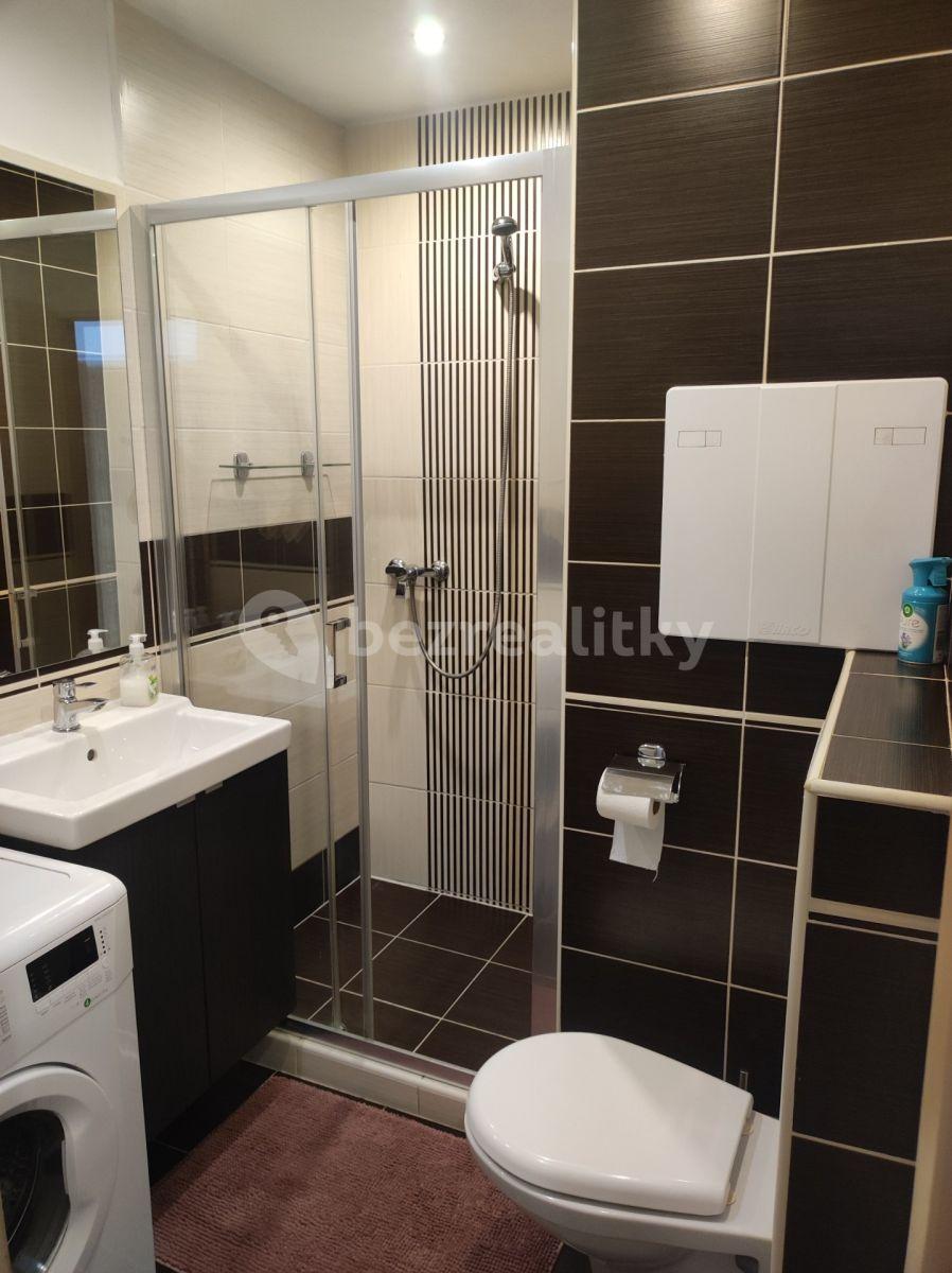 Studio flat to rent, 29 m², Na Loučkách, Kuřim, Jihomoravský Region