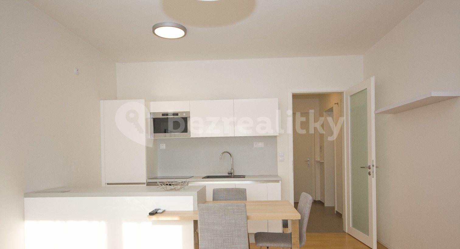 1 bedroom with open-plan kitchen flat to rent, 65 m², Nad Ryšánkou, Prague, Prague