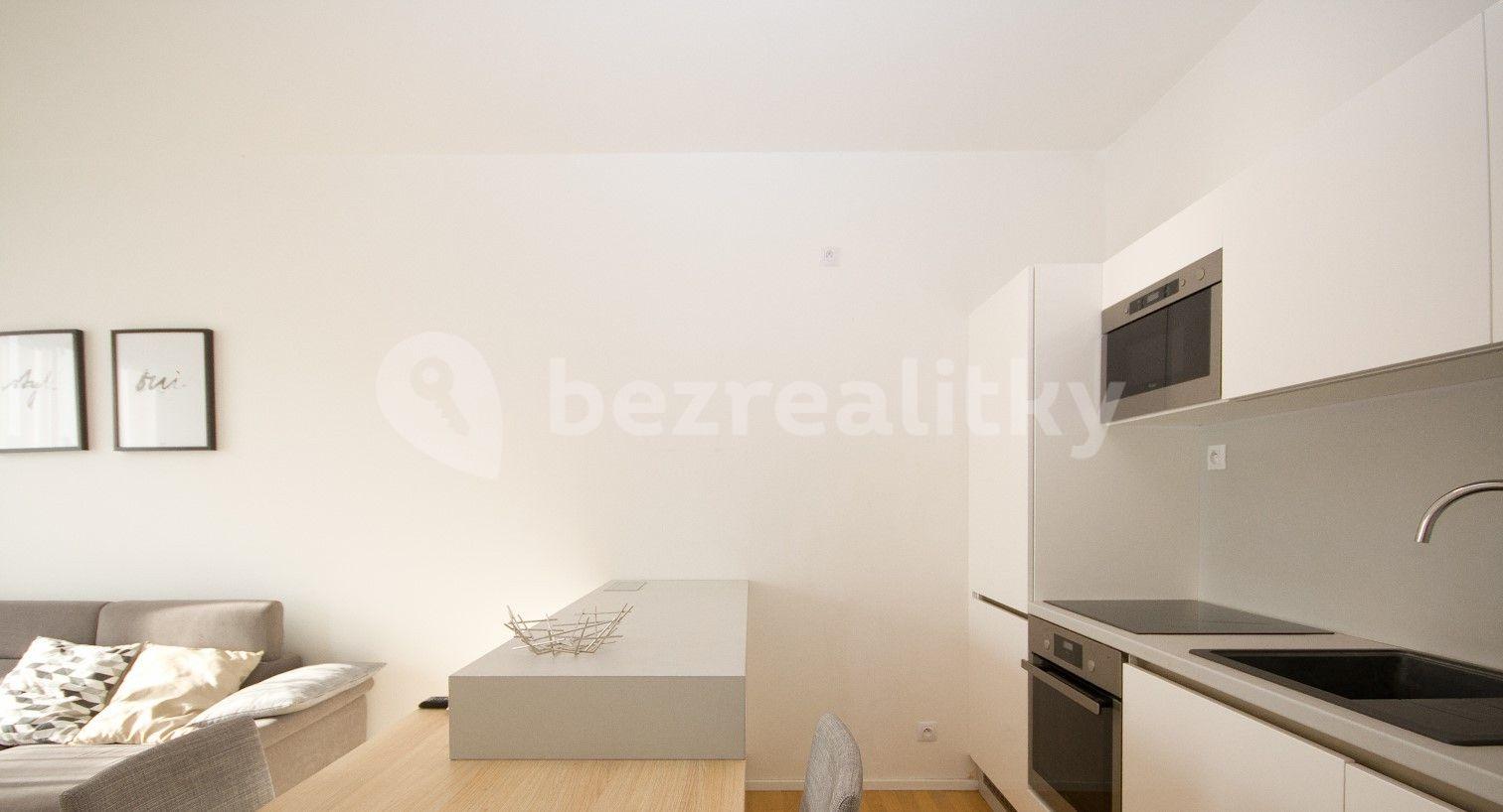 1 bedroom with open-plan kitchen flat to rent, 65 m², Nad Ryšánkou, Prague, Prague