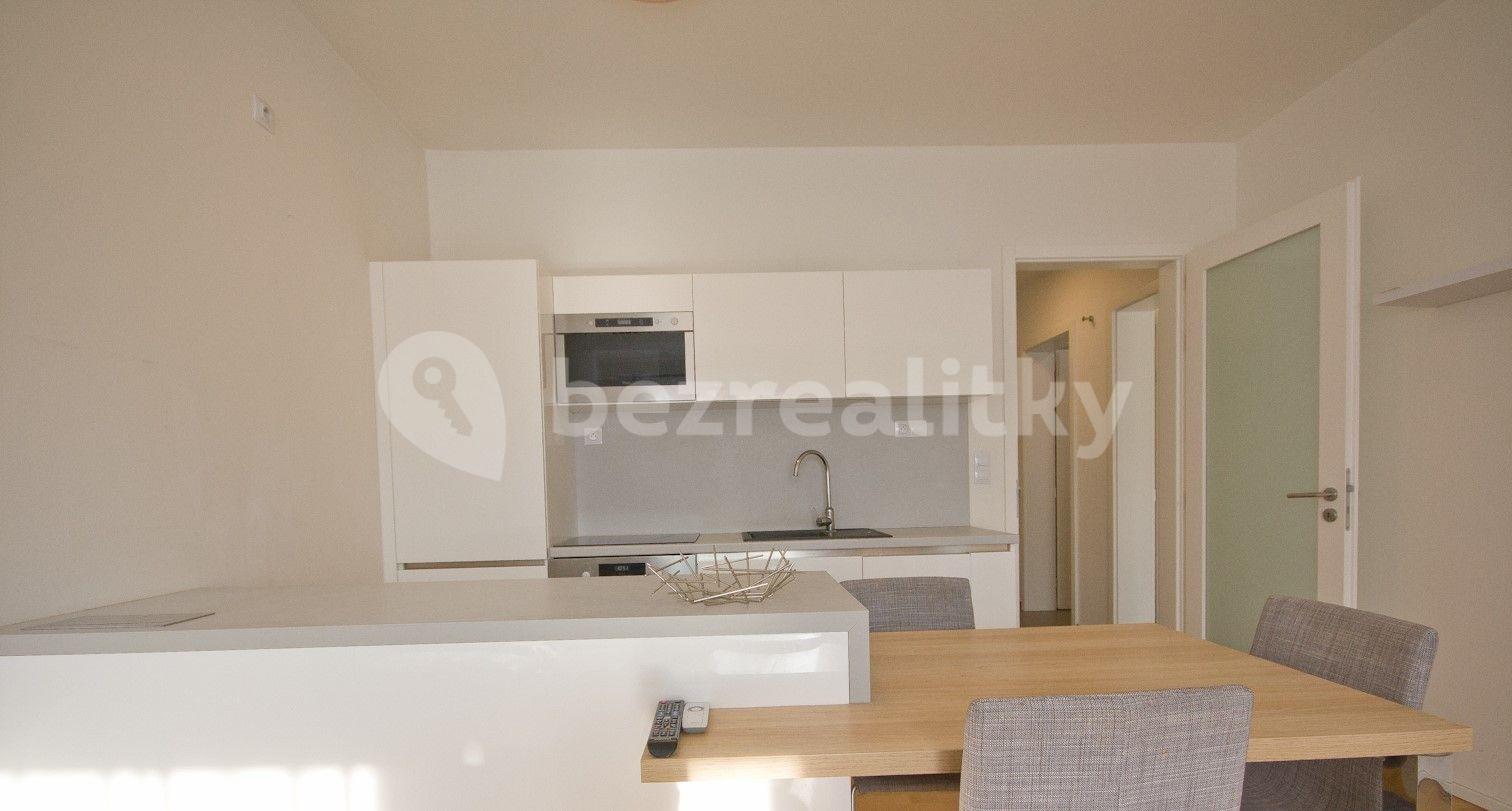 1 bedroom with open-plan kitchen flat to rent, 65 m², Nad Ryšánkou, Prague, Prague