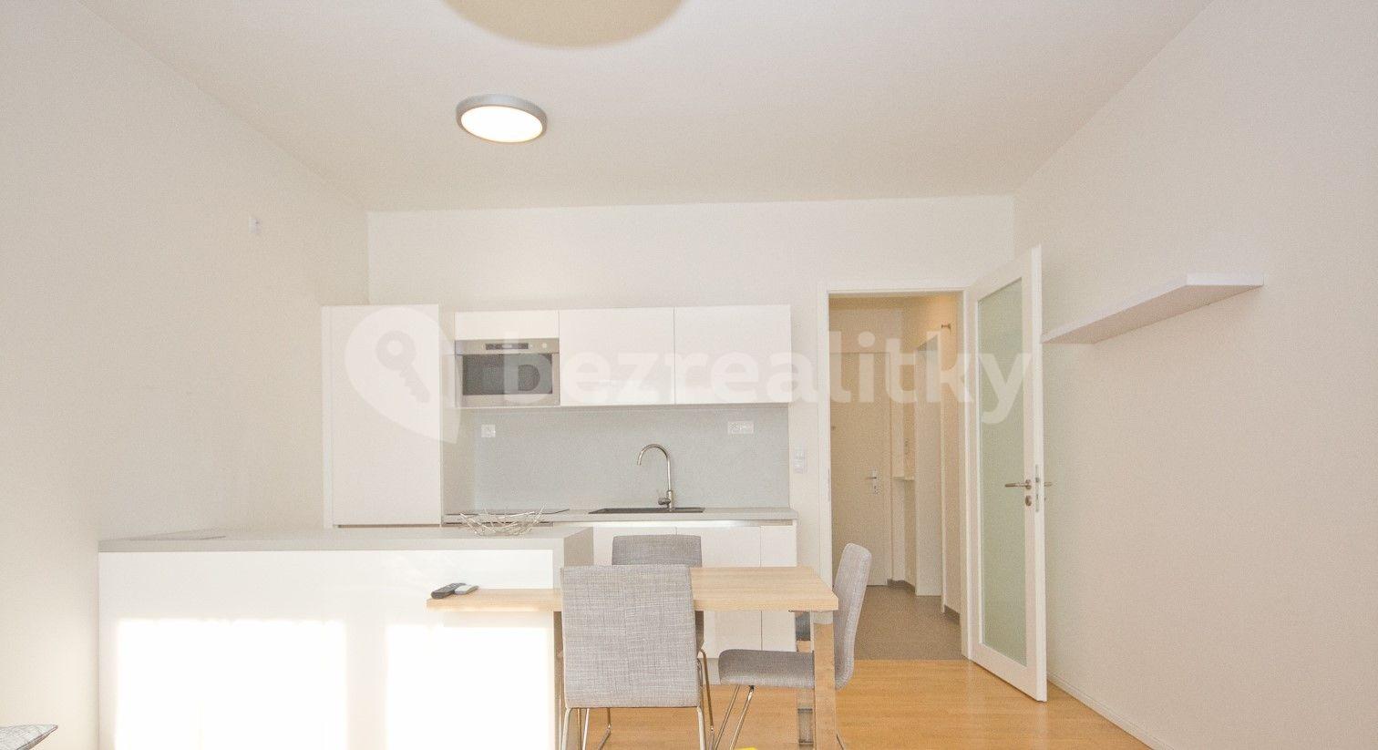 1 bedroom with open-plan kitchen flat to rent, 65 m², Nad Ryšánkou, Prague, Prague