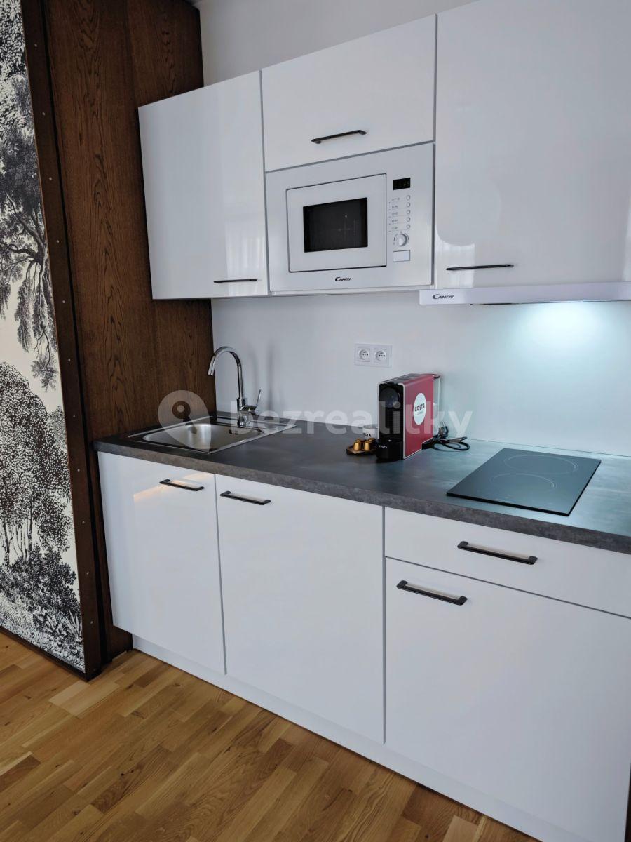 Studio flat to rent, 45 m², Petrská, Prague, Prague