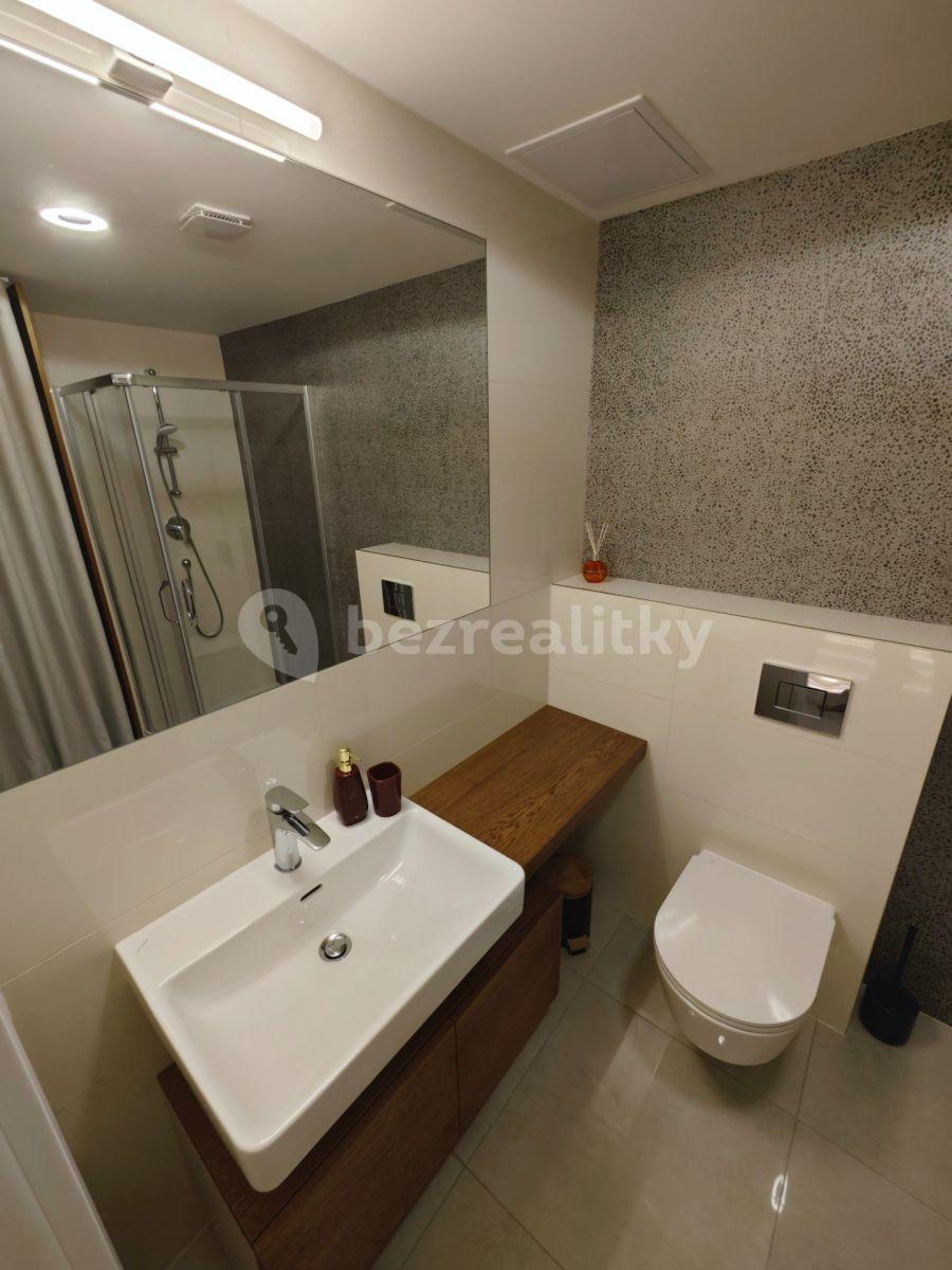 Studio flat to rent, 45 m², Petrská, Prague, Prague