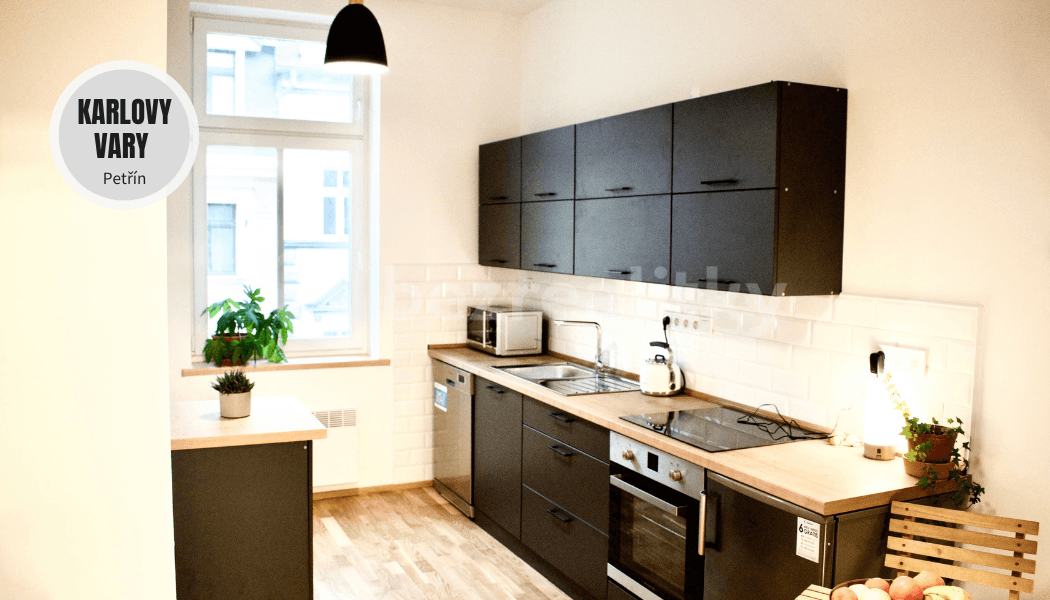 1 bedroom with open-plan kitchen flat to rent, 45 m², Petřín, Karlovy Vary, Karlovarský Region