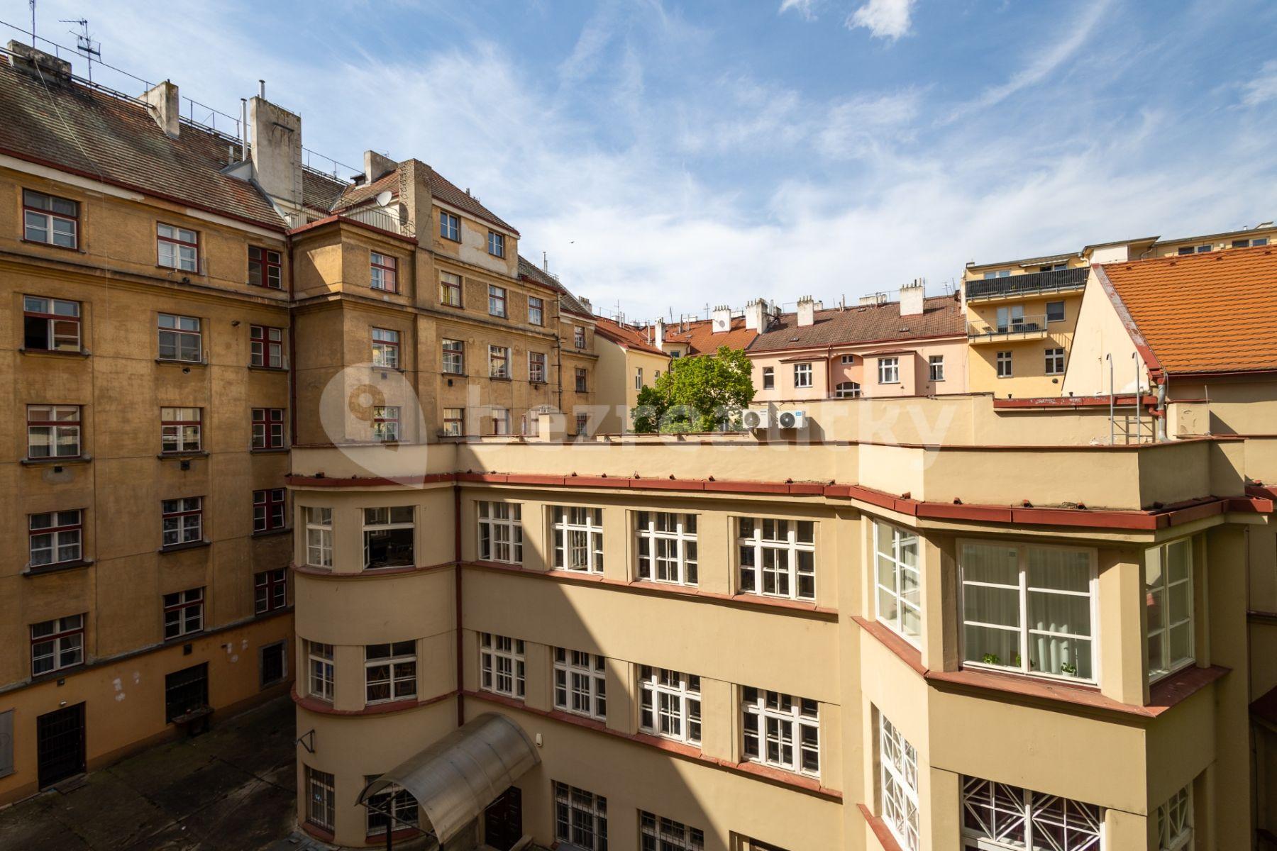 1 bedroom with open-plan kitchen flat to rent, 51 m², Dělnická, Prague, Prague