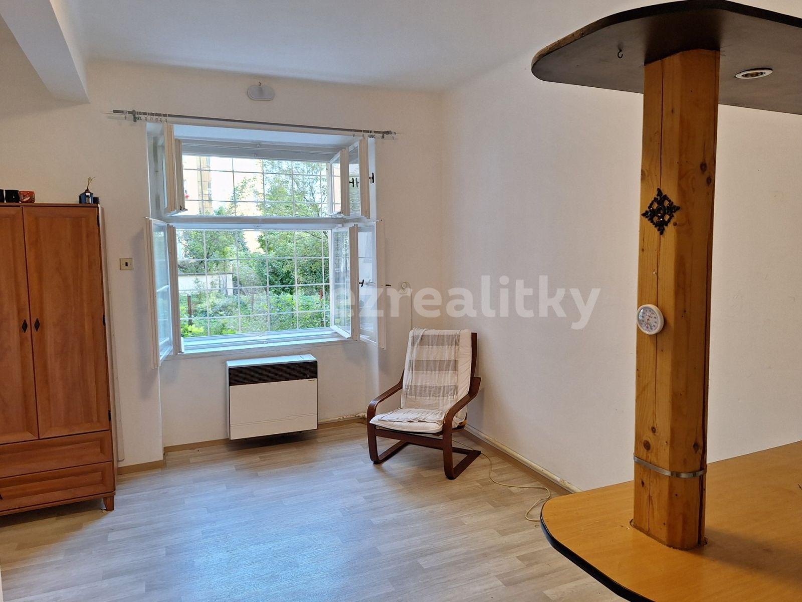 1 bedroom with open-plan kitchen flat to rent, 38 m², Václavkova, Prague, Prague