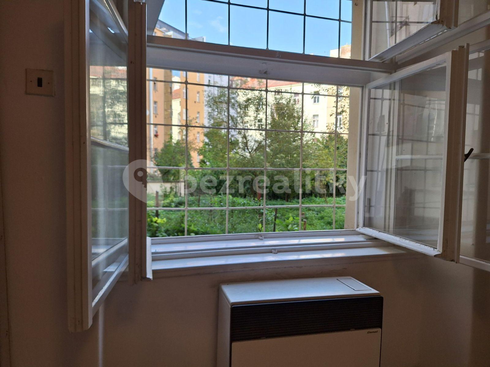 1 bedroom with open-plan kitchen flat to rent, 38 m², Václavkova, Prague, Prague