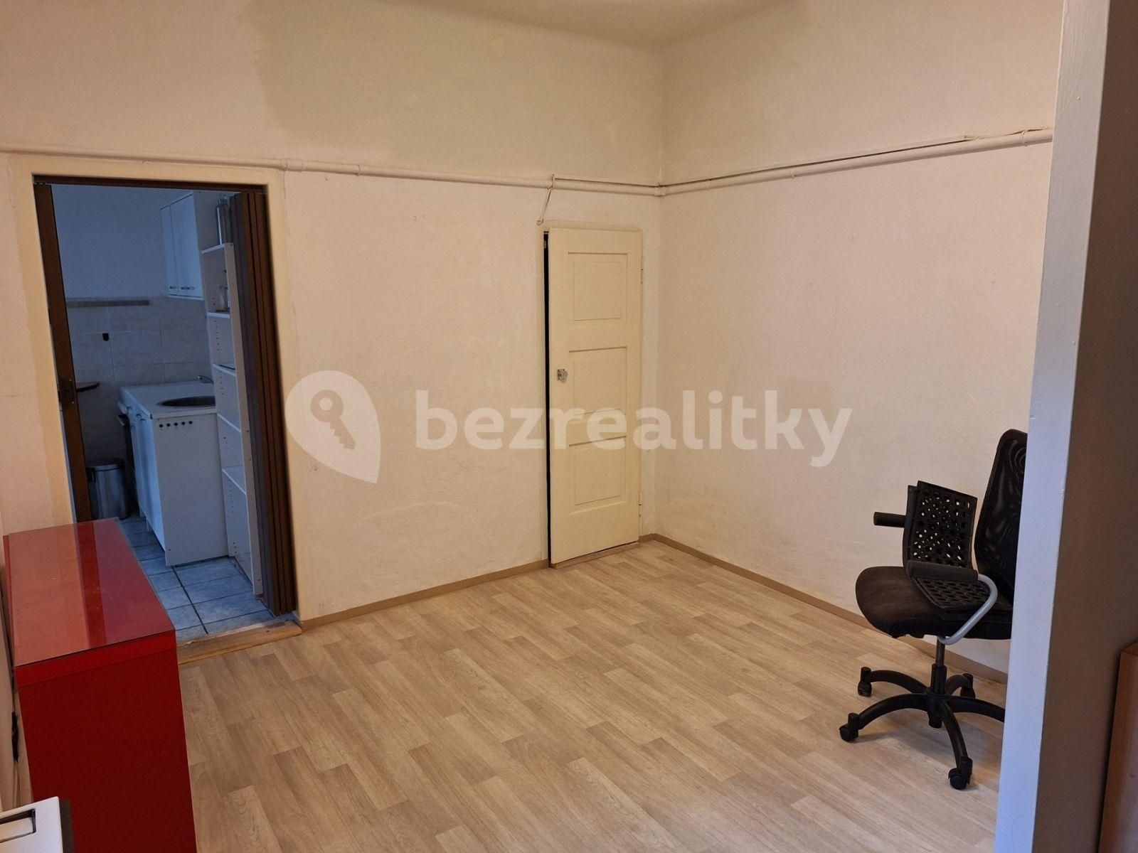 1 bedroom with open-plan kitchen flat to rent, 38 m², Václavkova, Prague, Prague