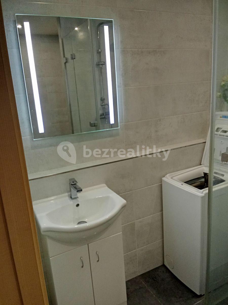 1 bedroom with open-plan kitchen flat to rent, 53 m², Makovského, Prague, Prague