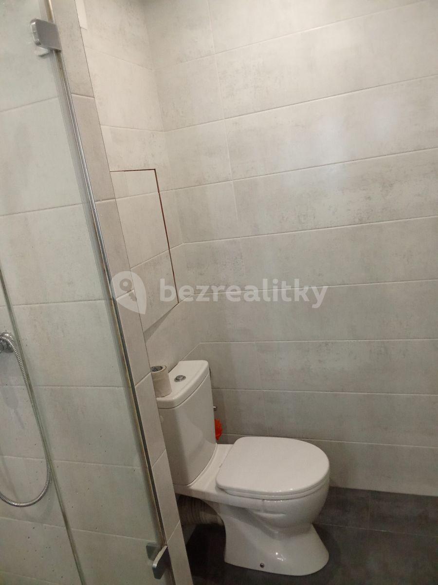 1 bedroom with open-plan kitchen flat to rent, 53 m², Makovského, Prague, Prague